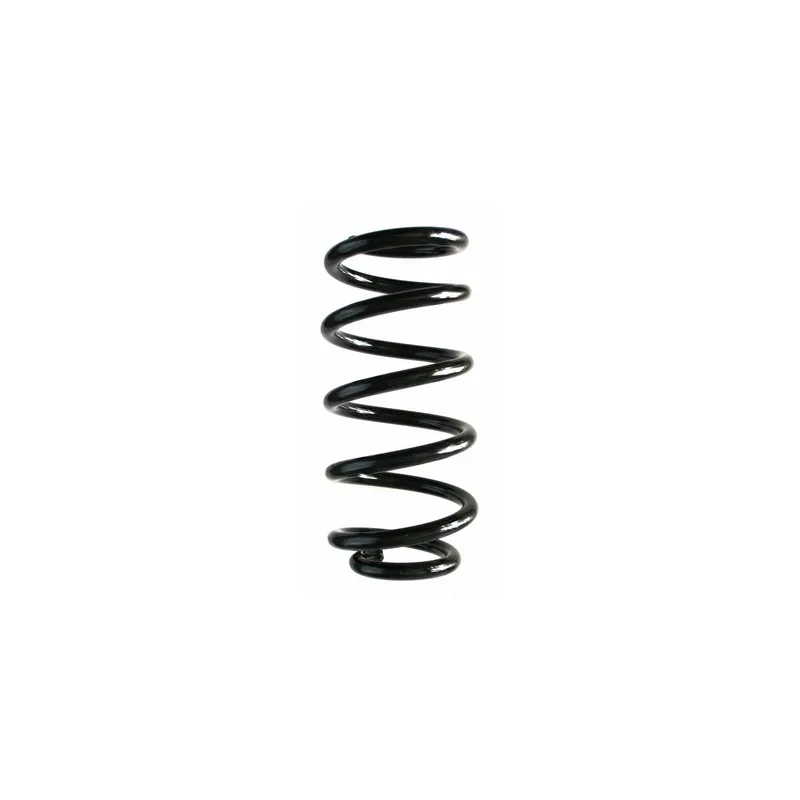 Ressort de suspension SPIDAN 87284