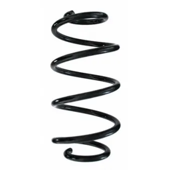 Ressort de suspension SPIDAN 87296