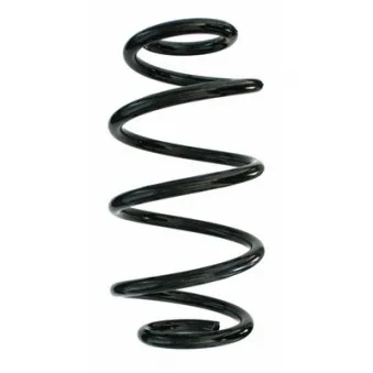 Ressort de suspension SPIDAN 87298