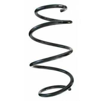 Ressort de suspension SPIDAN 87302