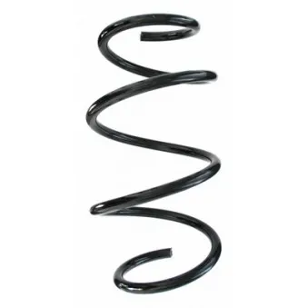 Ressort de suspension SPIDAN 87303