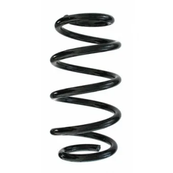 Ressort de suspension SPIDAN 87309