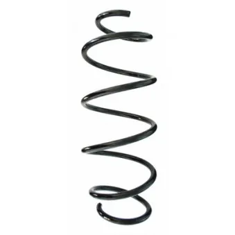 Ressort de suspension SPIDAN 87311