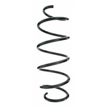 Ressort de suspension SPIDAN 87319