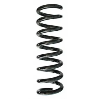 Ressort de suspension SPIDAN 87322