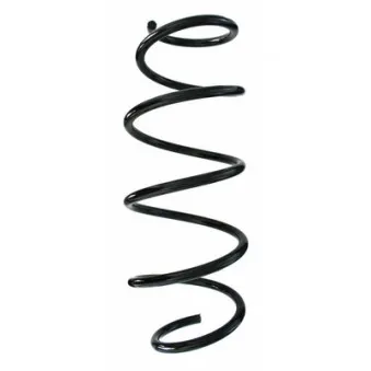 Ressort de suspension SPIDAN 87323