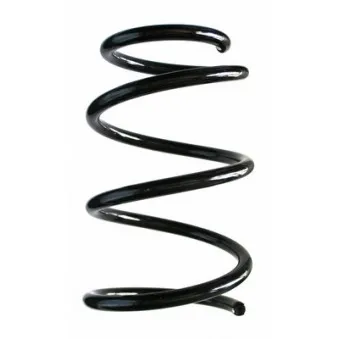 Ressort de suspension SPIDAN 87340