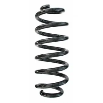 Ressort de suspension SPIDAN 87347