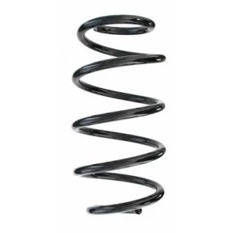 Ressort de suspension SPIDAN 87348