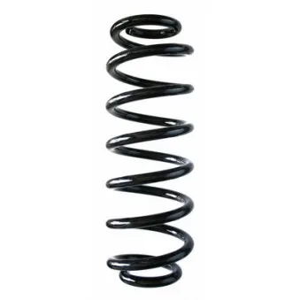 Ressort de suspension SPIDAN 87350