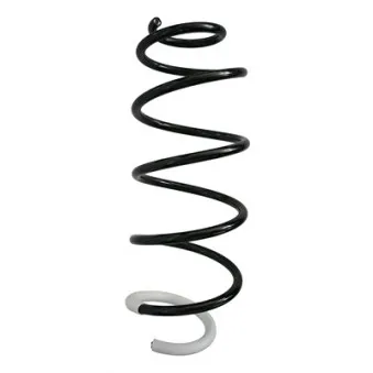 Ressort de suspension SPIDAN 87353