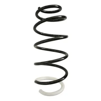 Ressort de suspension SPIDAN 87355