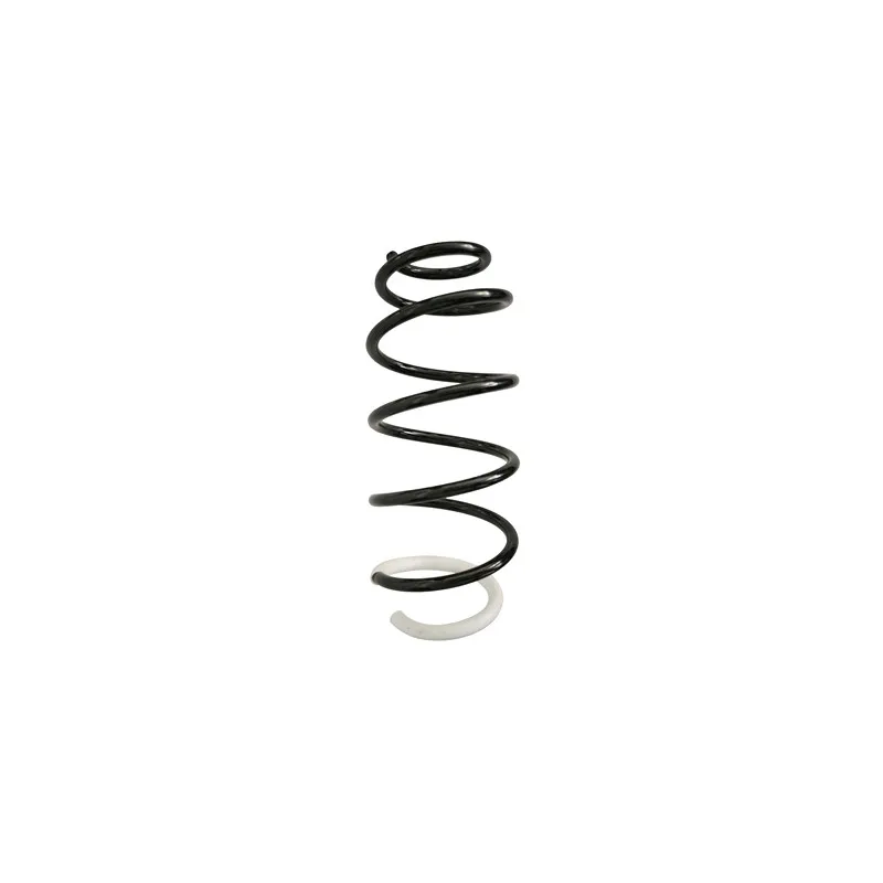 Ressort de suspension SPIDAN 87355