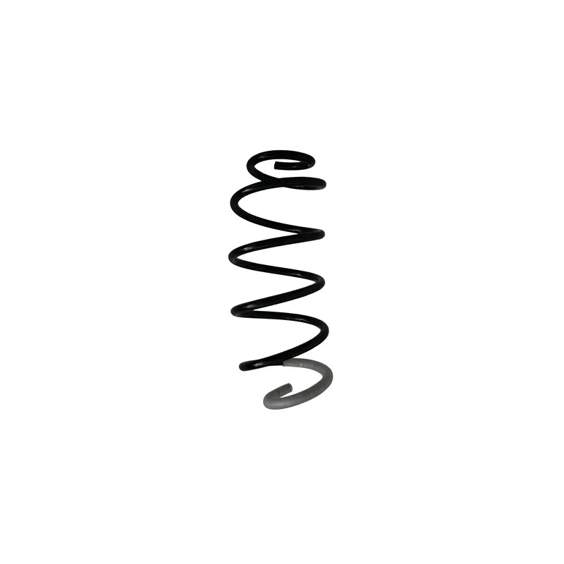Ressort de suspension SPIDAN 87358