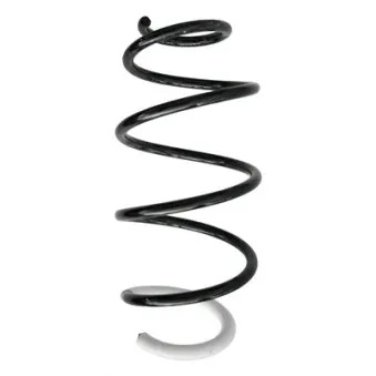 Ressort de suspension SPIDAN 87362