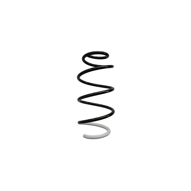 Ressort de suspension SPIDAN 87364