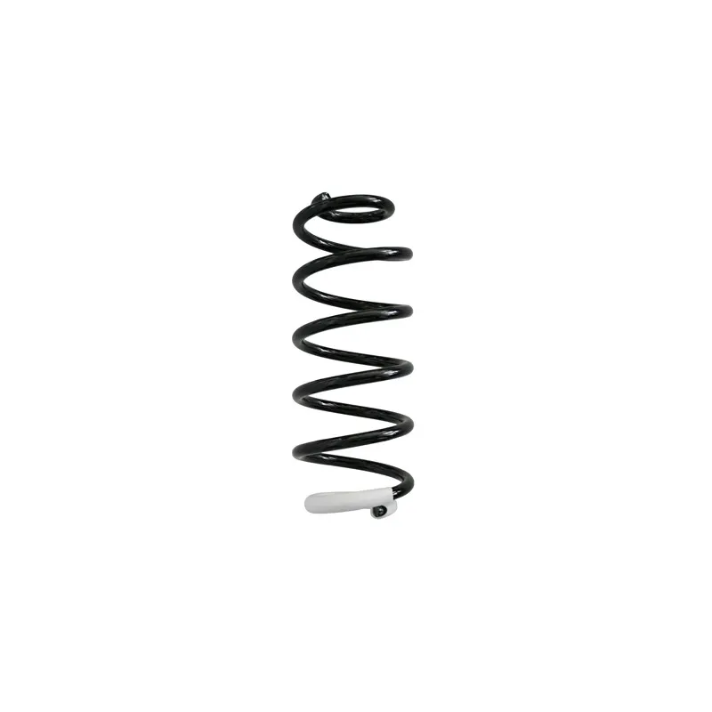 Ressort de suspension SPIDAN 87367