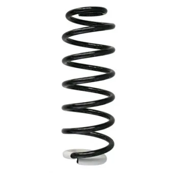Ressort de suspension SPIDAN 87369