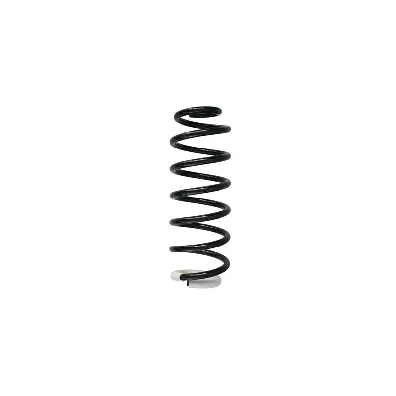 Ressort de suspension SPIDAN 87369