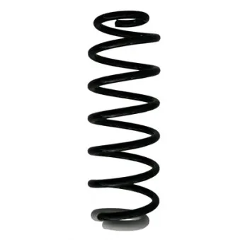 Ressort de suspension SPIDAN 87370