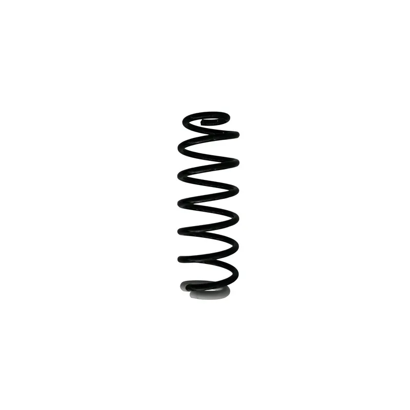 Ressort de suspension SPIDAN 87370