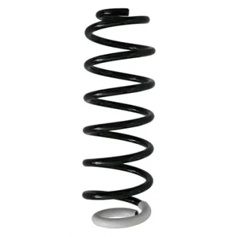 Ressort de suspension SPIDAN 87371