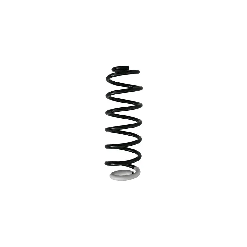 Ressort de suspension SPIDAN 87371