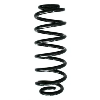 Ressort de suspension SPIDAN 87372