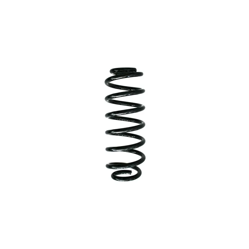 Ressort de suspension SPIDAN 87372