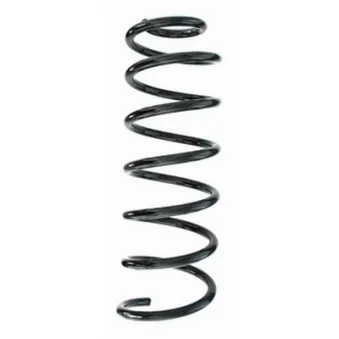 Ressort de suspension SPIDAN 87376
