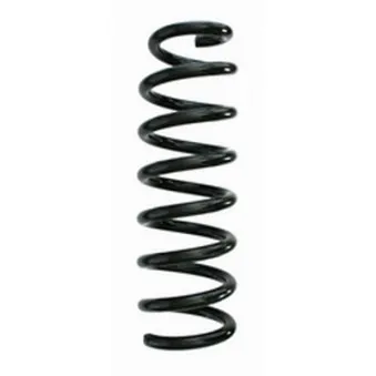 Ressort de suspension SPIDAN 87377