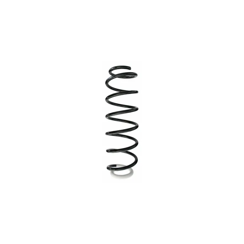 Ressort de suspension SPIDAN 87378