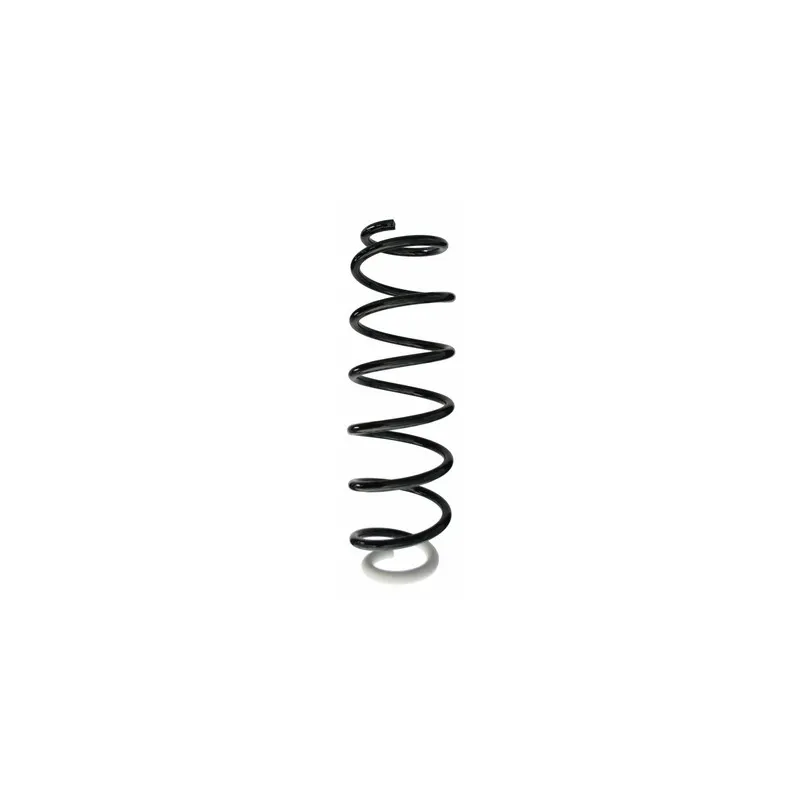 Ressort de suspension SPIDAN 87379