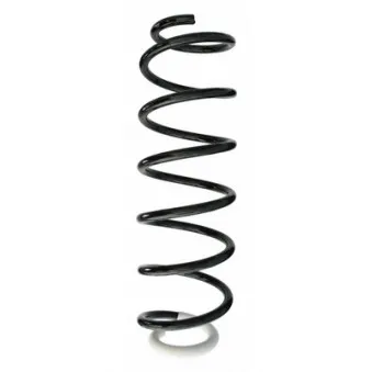 Ressort de suspension SPIDAN 87380