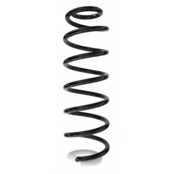 Ressort de suspension SPIDAN 87381
