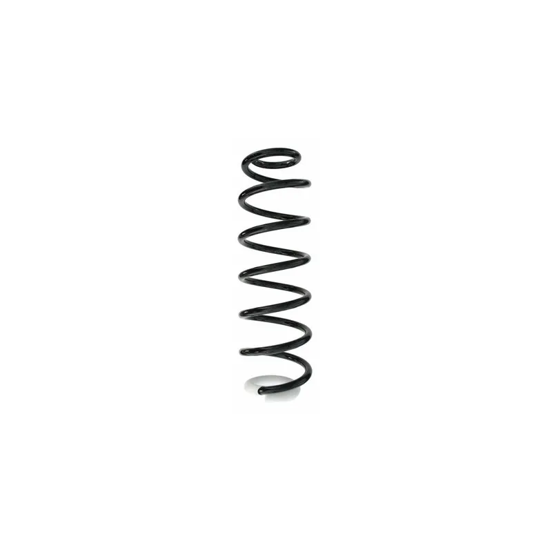 Ressort de suspension SPIDAN 87381