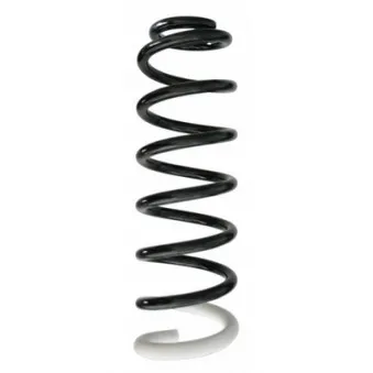 Ressort de suspension SPIDAN 87385