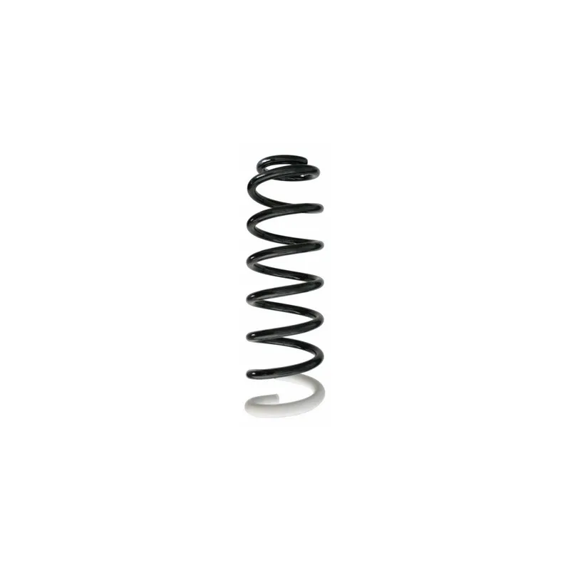 Ressort de suspension SPIDAN 87385