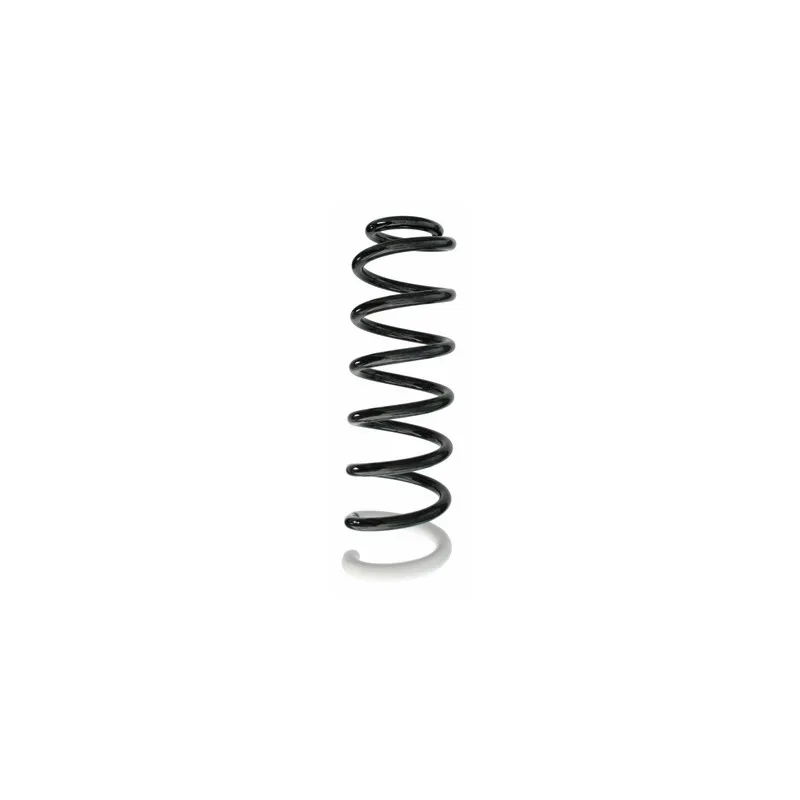 Ressort de suspension SPIDAN 87386