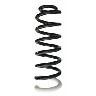 Ressort de suspension SPIDAN 87387