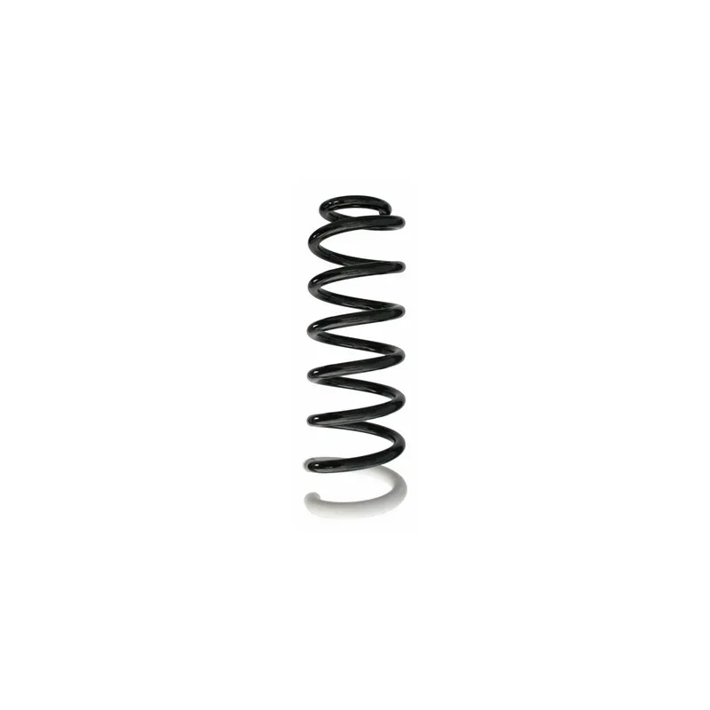 Ressort de suspension SPIDAN 87387
