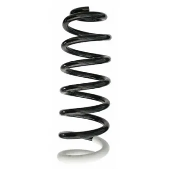Ressort de suspension SPIDAN 87388