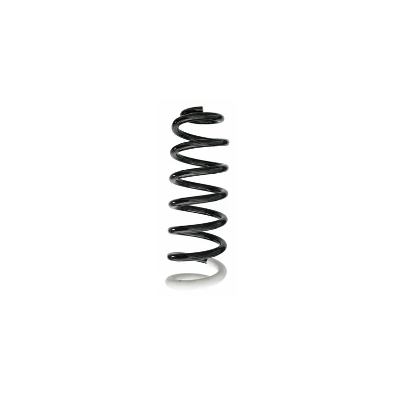 Ressort de suspension SPIDAN 87388