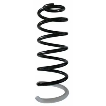 Ressort de suspension SPIDAN 87403
