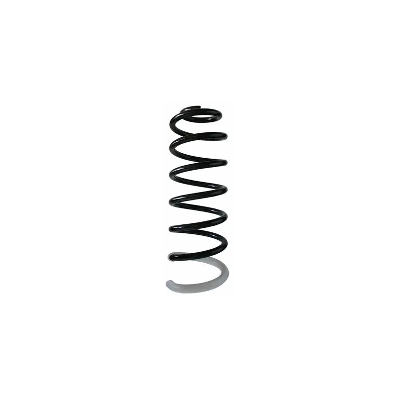 Ressort de suspension SPIDAN 87403