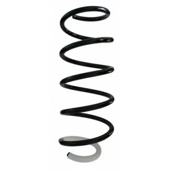 Ressort de suspension SPIDAN 87404