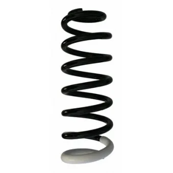 Ressort de suspension SPIDAN 87406