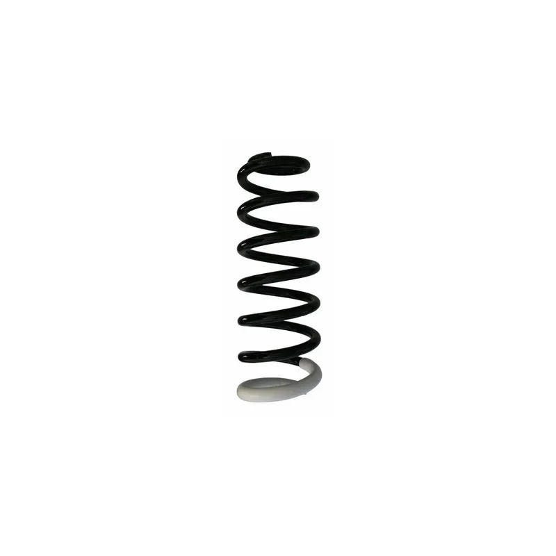Ressort de suspension SPIDAN 87406