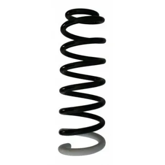 Ressort de suspension SPIDAN 87407