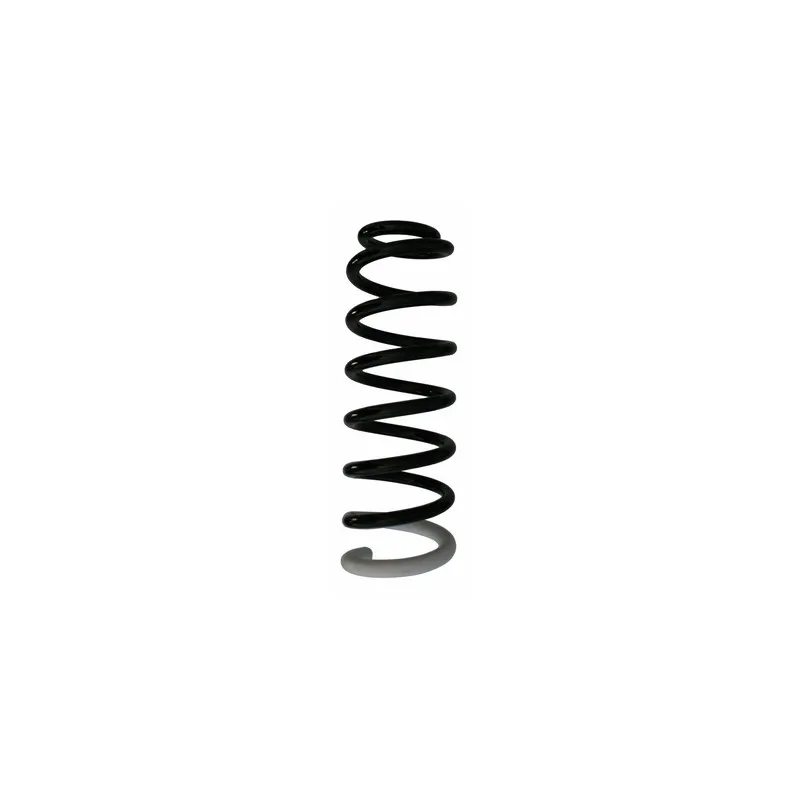 Ressort de suspension SPIDAN 87407